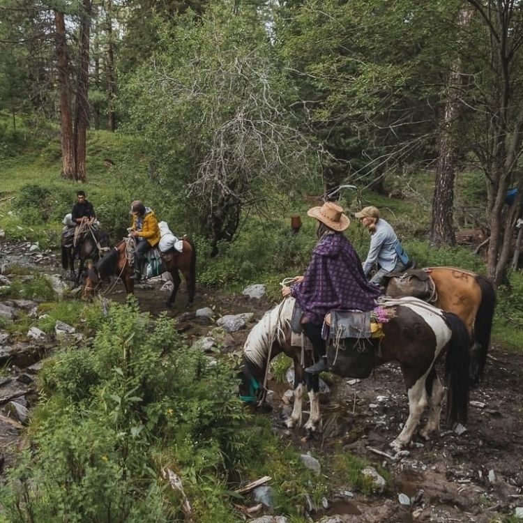 Швейцария конные походы